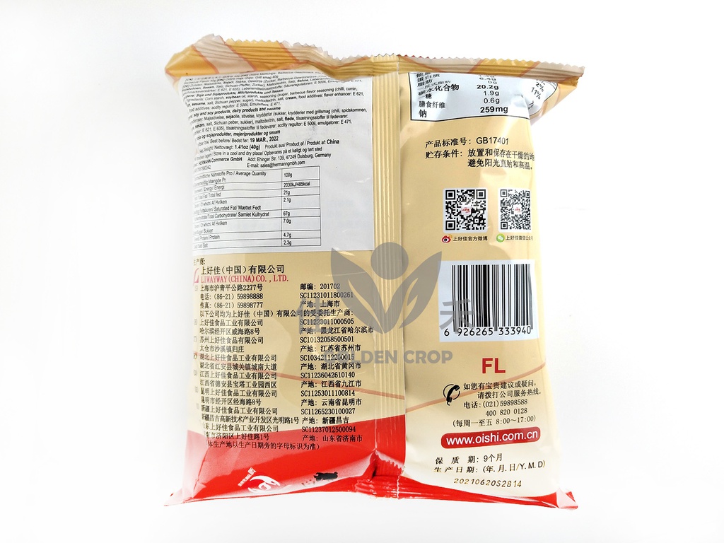 SHJ Corn- Chips Barbecue Flavor 40g | 上好佳 脆变玉米片 烧烤味 40g