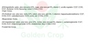 OKF Aloe Vera Drink Kiwi 500ml | OKF 猕猴桃饮料 500ml