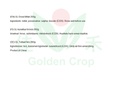 GL dried millet 200g | 金百合 小米 200g
