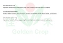 WL Spice Mix(Lo Siu Liu) 454g | 华隆 卤水料 454g
