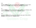 FF Mushroom & Green Vegetable Bun 300g | 香源青菜香菇包 300g