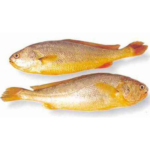 Yellow Croaker 60/80 1kg | 鼎鹿 小黄鱼 60/80 1kg