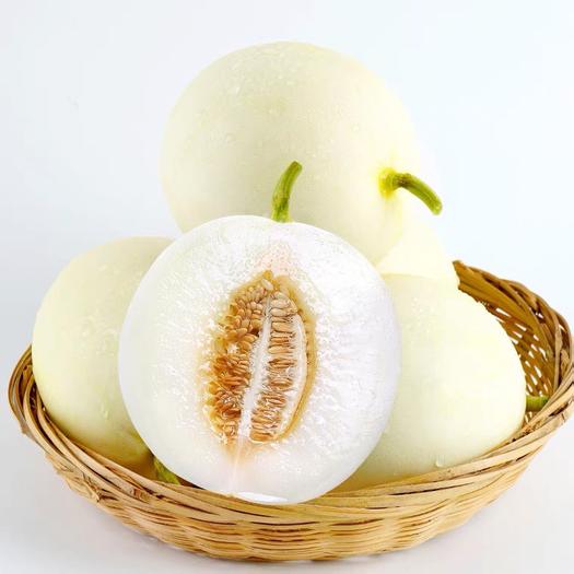 新鲜 白玉甜瓜 1kg | Fresh Muskmelon 1kg
