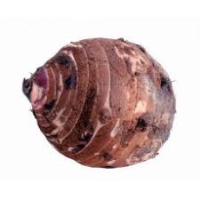 Malanga Coco  1kg | 新鲜 大香芋 1kg
