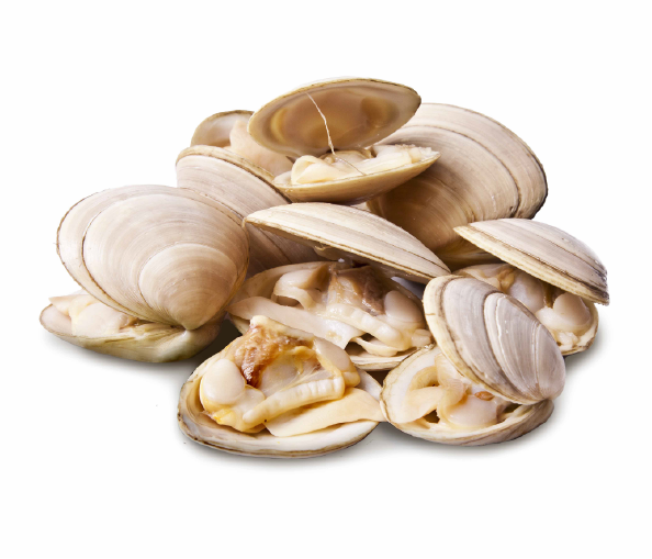 冰冻 熟白蛤 60/80 1kg | Frozen Cooked White Clams 60/80 1kg |