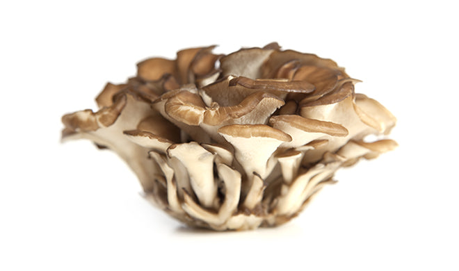 舞茸 150g | Maitake 150g 