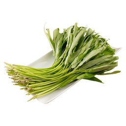 [10310] 新鲜 空心菜 250g | Water Spinach / Kang Kung 250g