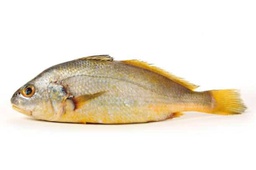 [80766] DingLu Yellow Crocker Fish 150/200 1kg | 鼎鹿 大黄鱼 150/200 1kg/袋