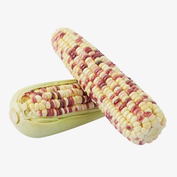 [10334] 彩色糯玉米 200g / 个