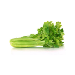 [10363] Fresh Celery 8kg/ctn | 新鲜 西芹 整箱 8kg