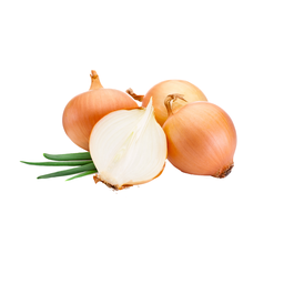 [10377] Yellow Onion 10kg/ctn | 白洋葱 大号 整箱 10kg