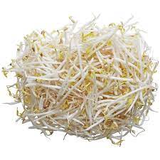 [10412] Ituja/ Mung Bean Sprouts 1kg/bag | 餐厅特供 绿豆芽 1kg/包