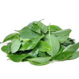 [10434] ASEA TH Fresh betel Leaf 100g/PKT | 泰国 蒌叶 100g/包