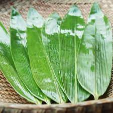 [10488] Fresh Bamboo Leaf Vacuum 400g | 新鲜 粽叶 真空 400g