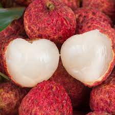 [10498] Fresh Nuomi Lychee 500g | 新鲜 糯米糍荔枝 500g