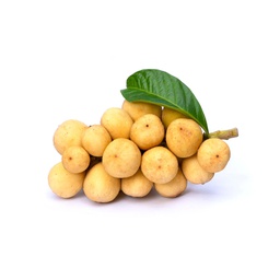 [10505] Fresh Longkong 1kg | 新鲜 龙贡 1kg