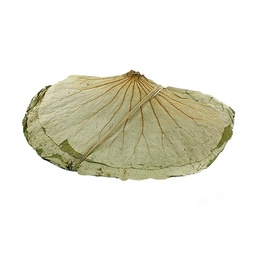 [70111] GL Lotus leaves 454g | 金百合 荷叶 454g