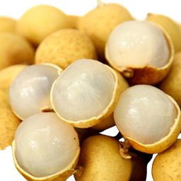 [10092] 新鲜龙眼 3kg | Fresh Longan 3kg
