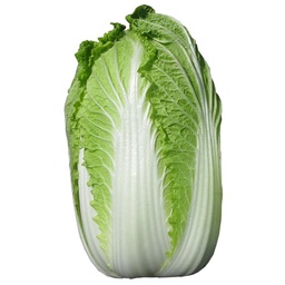 [10036] Chinese cabbage / kg | 中国大白菜 (称重)