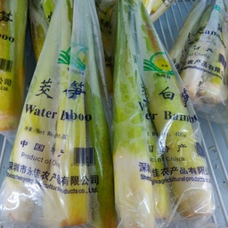[10042] 新鲜茭白 400g | CN Water Oats / Water Bamboo 400g