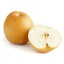 [10171] 新高梨 1kg | Korean Pear 1kg