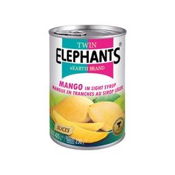 [20158] 芒果条 425g | Fruit Mango Slices 425g