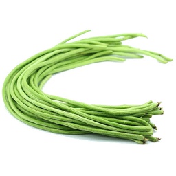 [10088] Fresh Long Beans 1kg | 新鲜 豇豆 / 长豆角 1kg