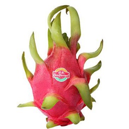 [10198] Dragon Fruit Red 1kg | 越南 空运红心火龙果 1kg