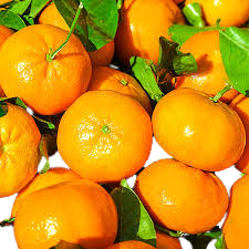 [10097] 新鲜桔子 1 kg | Fresh Mandarin 1 kg
