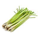 [10178] 新鲜 香茅 (整条) 1kg | Lemon grass (whole) 1kg