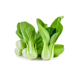[10189] 新鲜 迷你上海青菜 1kg | Mini Shanghai Pak Choi 1kg