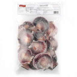 [80853] Scallop with half shell 20-30 1kg | 扇贝 (半壳) 20-30 1kg