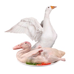 [80566] Goose 1kg (Weight) | 大鹅 1kg (称重)