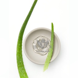 [10065] 新鲜 芦荟 1kg | Fresh Aloe Vera 1kg