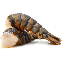 [80796] 冰冻 龙虾尾 真空包装 220g | Frozen Lobster Tails in Vacuum Pack 220g