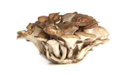 [10181] 舞茸 150g | Maitake 150g 